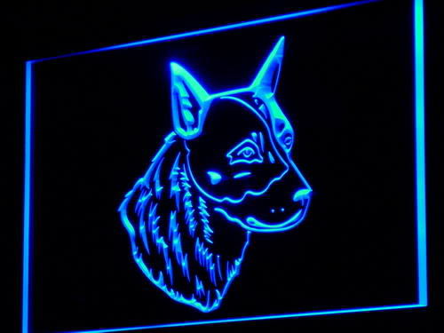 Australian Cattle Dog Shop Neon Light Sign